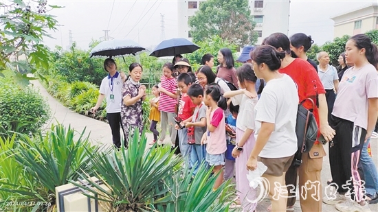 市民在嶺南藥用植物園學習辨認常用的藥用植物。