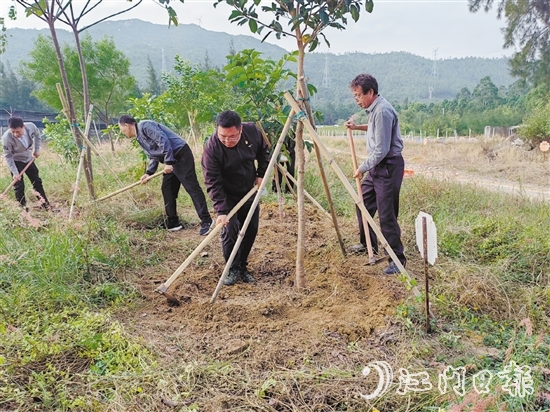 志愿者手持鋤頭，對每一棵樹木周圍的雜草進(jìn)行清除，并對土壤進(jìn)行松土處理，確保每一棵樹木都能在良好的土壤環(huán)境中生長。