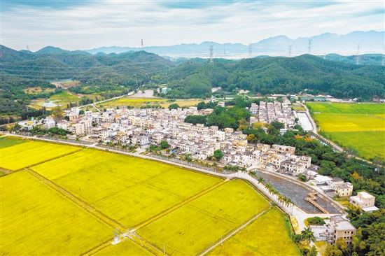 赤溪鎮(zhèn)護嶺村是客家人聚居村,先后入選廣東省首批“百千萬工程”典型村、廣東省鄉(xiāng)村振興示范村創(chuàng)建名單。