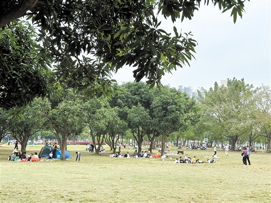 天氣晴好，不少市民到公園草坪露營野餐。