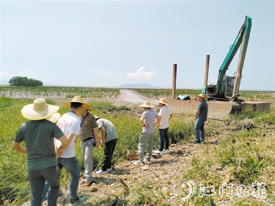 人大代表到紅樹林保護(hù)區(qū)進(jìn)行實(shí)地調(diào)研。