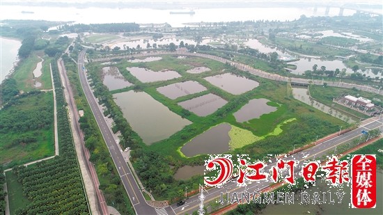 蓬江18號地實(shí)景圖。